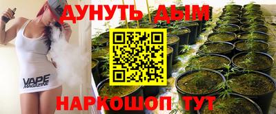 гашик Владимир