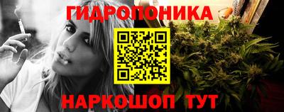 гашик Владимир