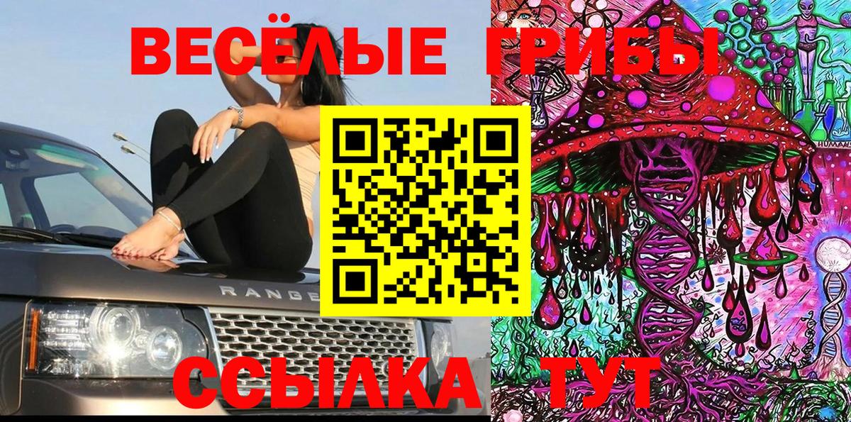 Псилоцибиновые грибы Psilocybine cubensis Батайск